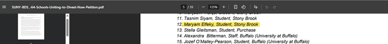 Maryam Elfeky__jan_15_2024_amchainitiative.org.png _#1